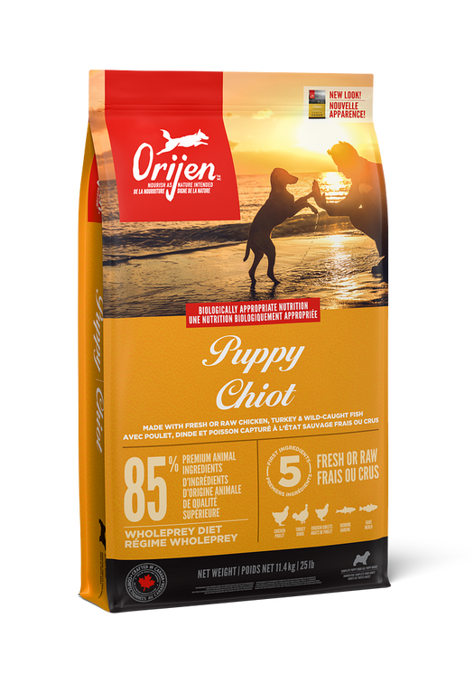 Chiot